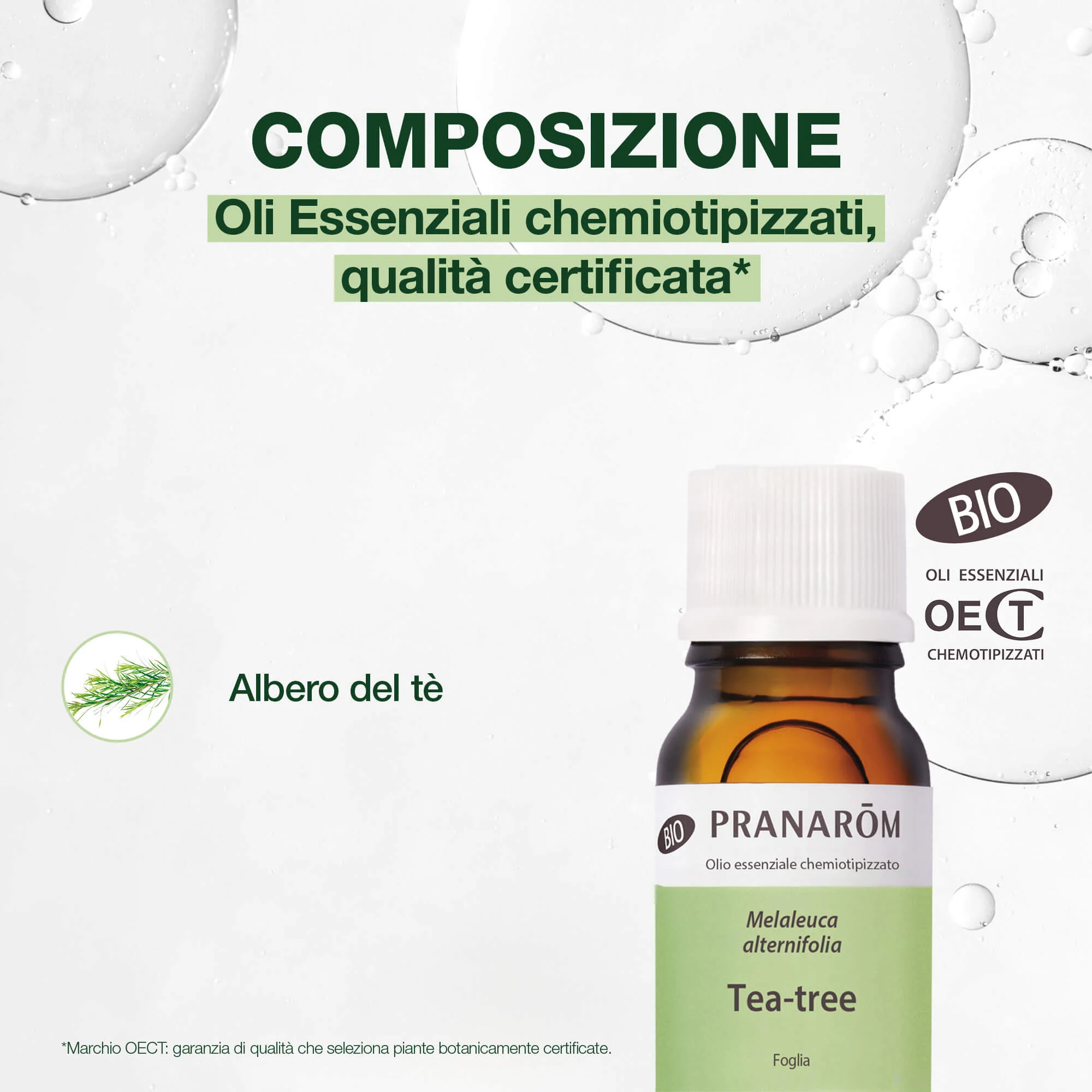 Albero del tè - Bio - Image 4