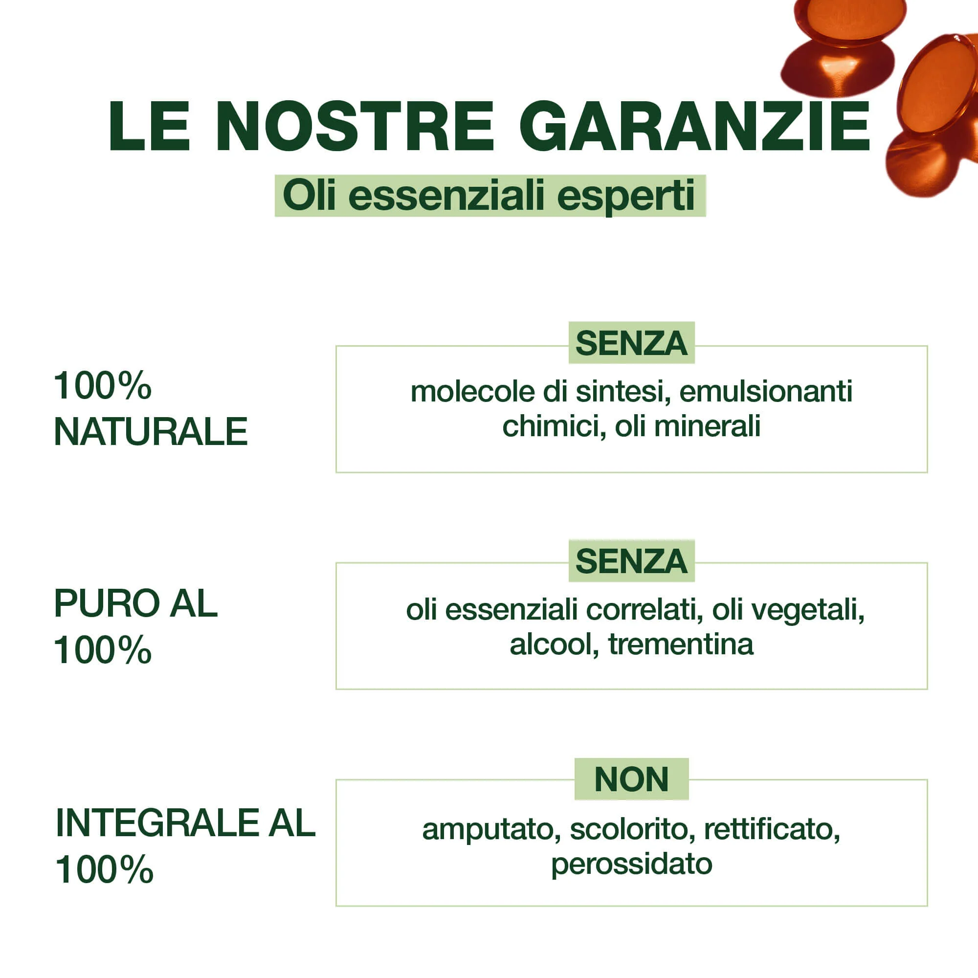 Capsule bronchi - Bio - Image 3