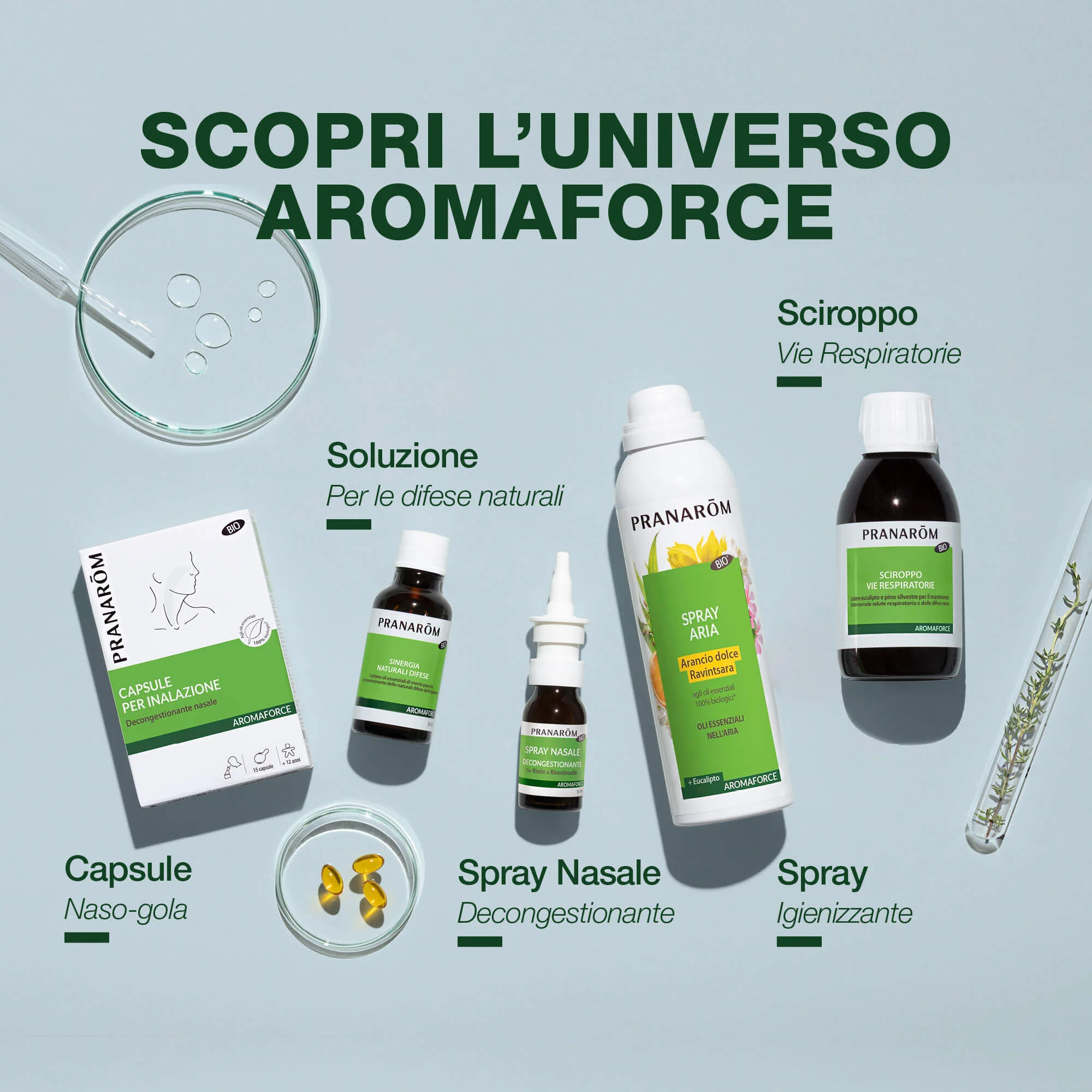Capsule Naso-gola - Bio - Image 6